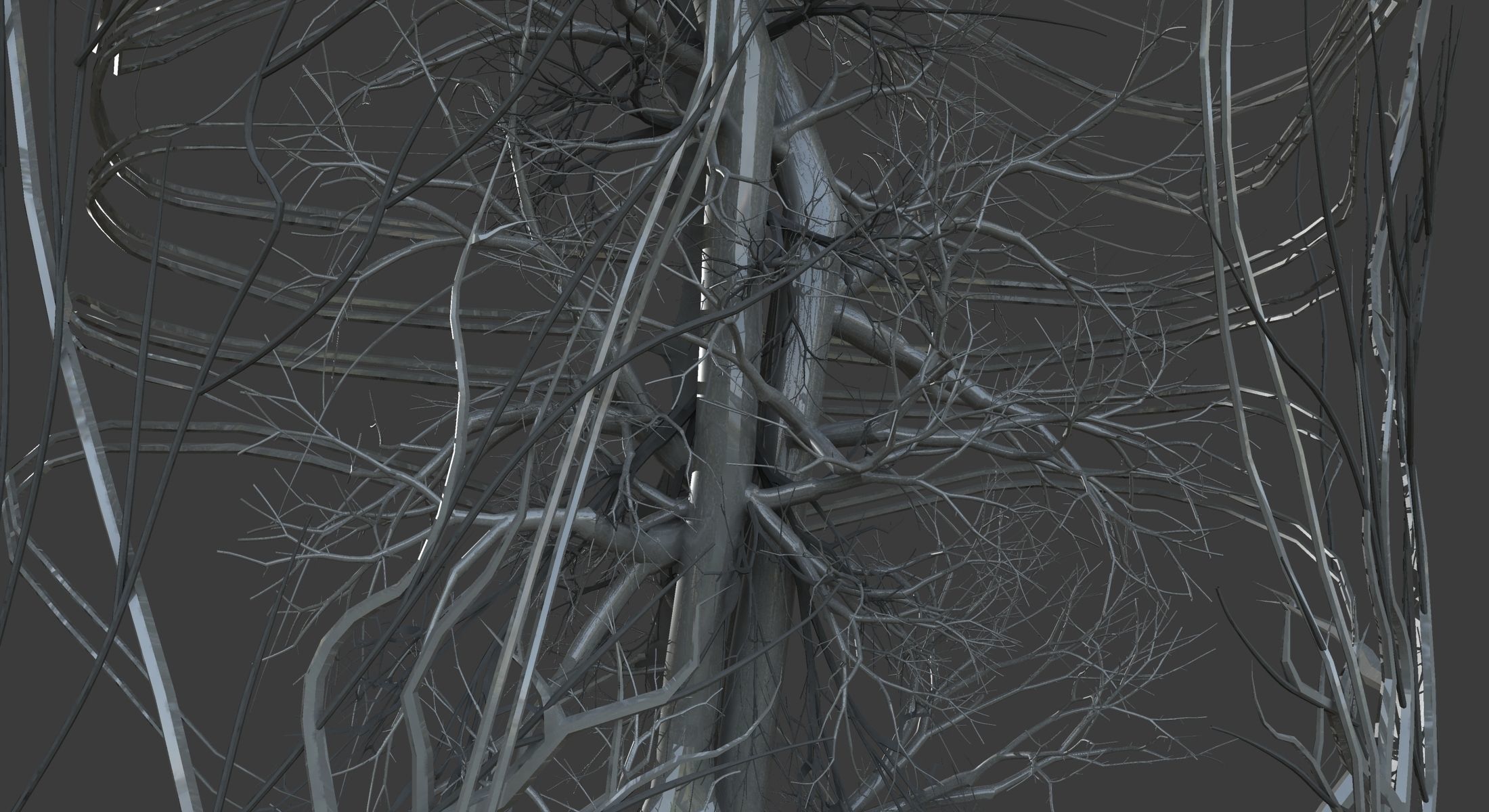 Male and Female Ultimate Anatomy Project 3D model_17