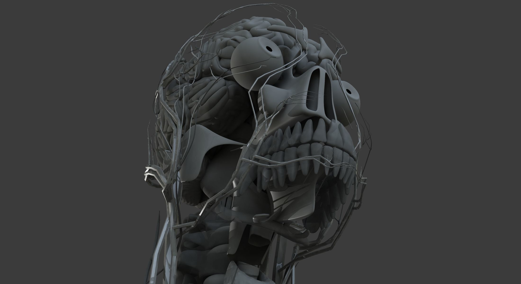 Male and Female Ultimate Anatomy Project 3D model_37