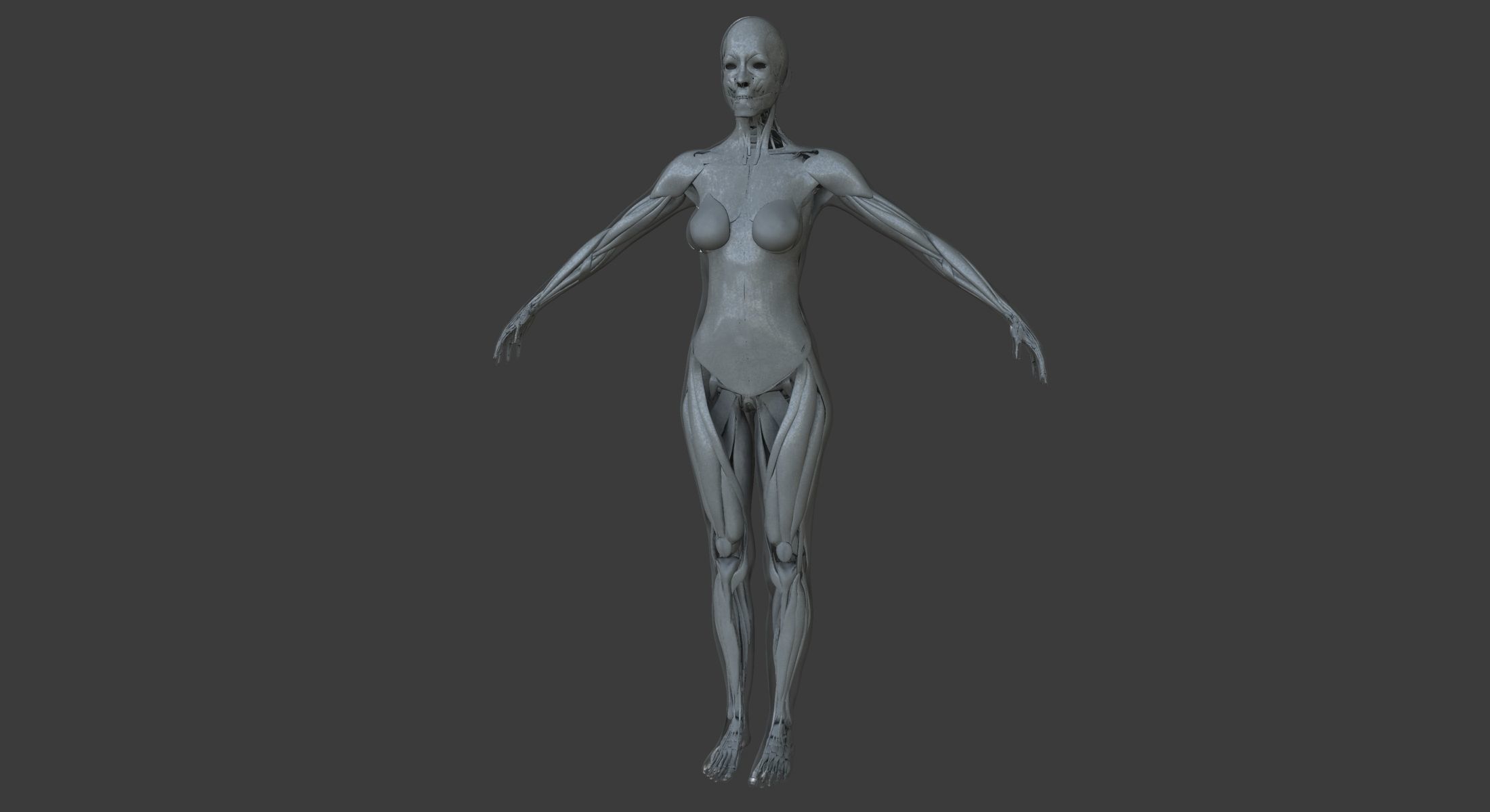 Male and Female Ultimate Anatomy Project 3D model_24