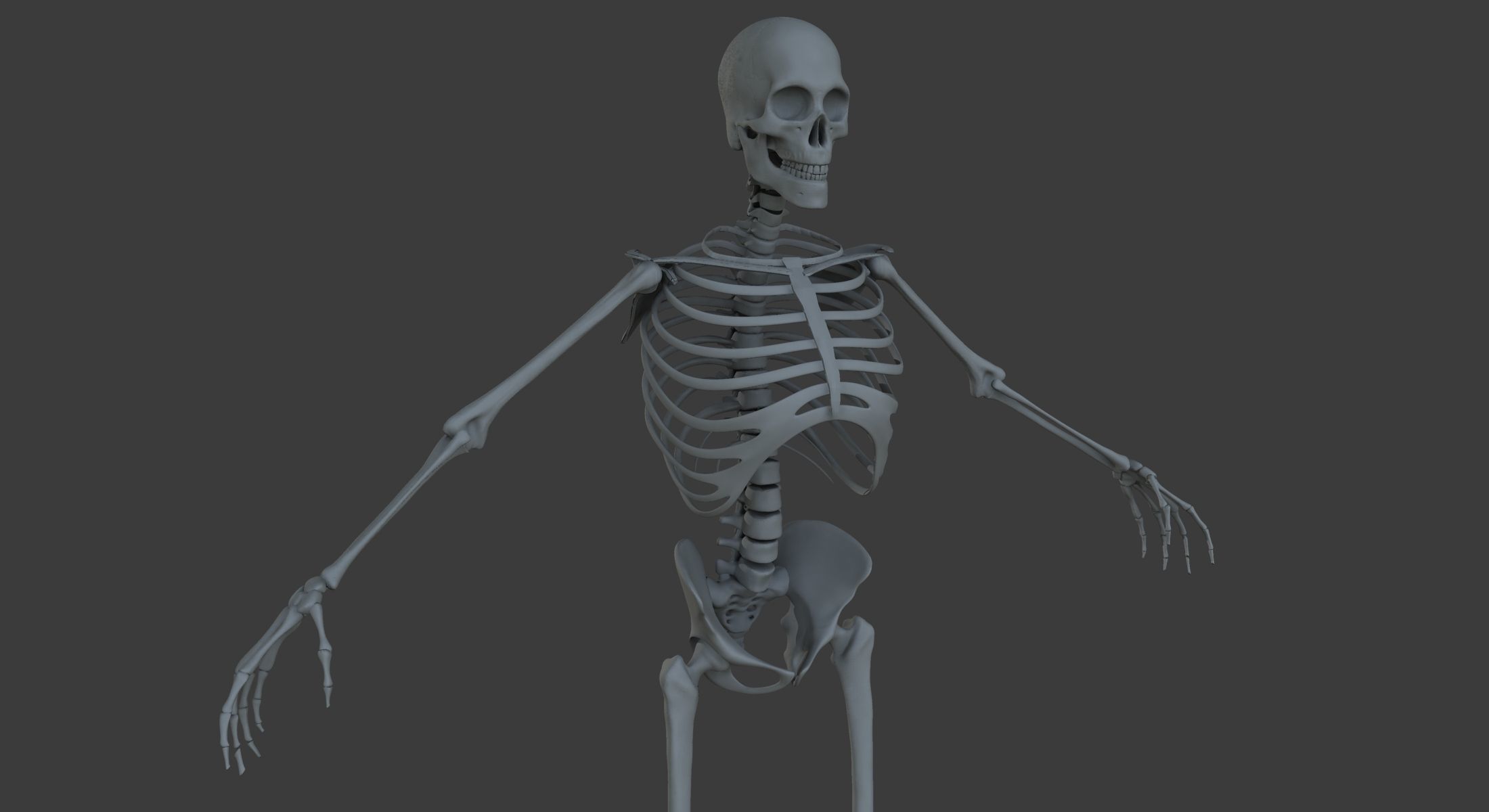 Male and Female Ultimate Anatomy Project 3D model_33