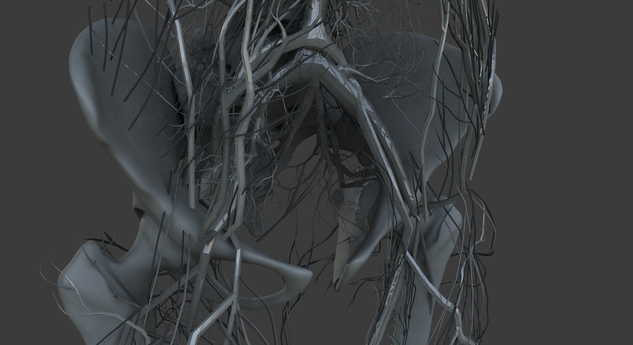 Male and Female Ultimate Anatomy Project 3D model_48