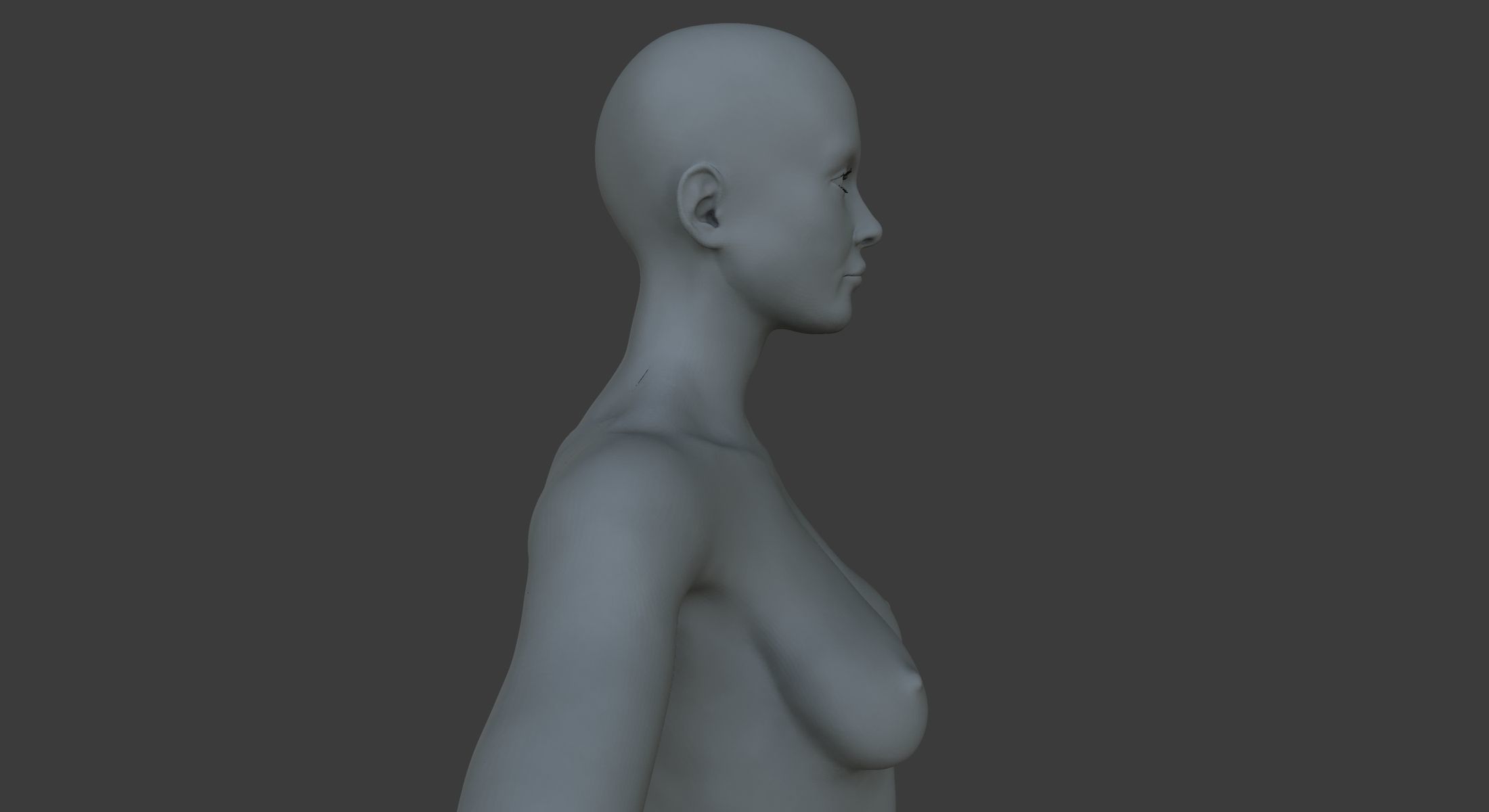 Male and Female Ultimate Anatomy Project 3D model_29