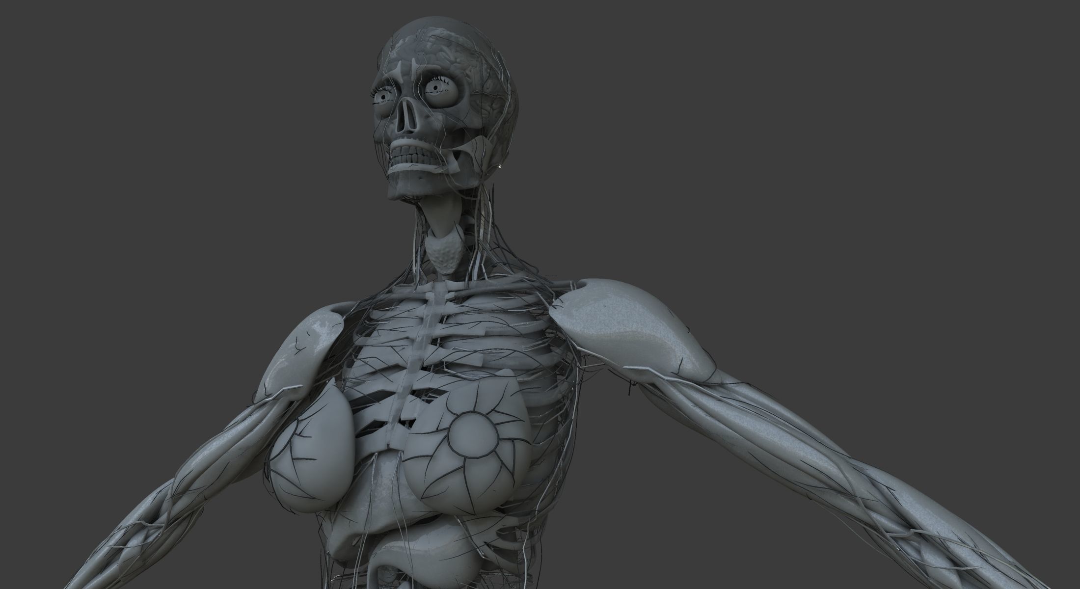 Male and Female Ultimate Anatomy Project 3D model_20