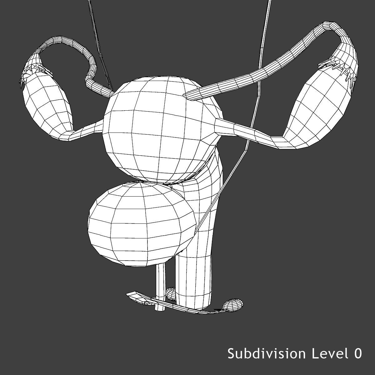 Ultimate Complete Female Body Anatomy 3DSmax 3D model_40