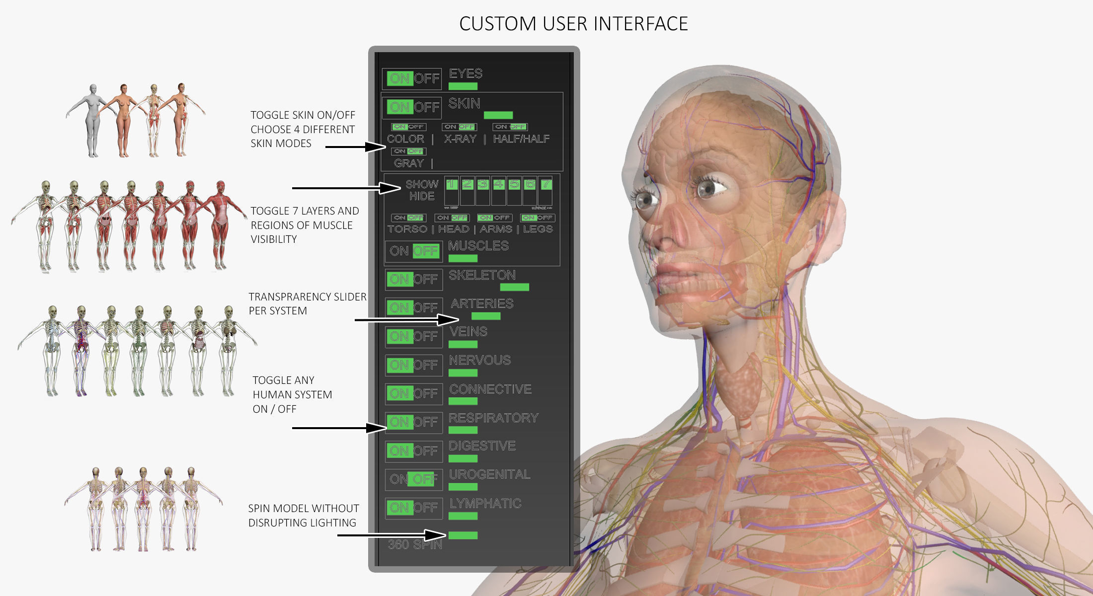 Ultimate Complete Female Body Anatomy 3DSmax 3D model_3