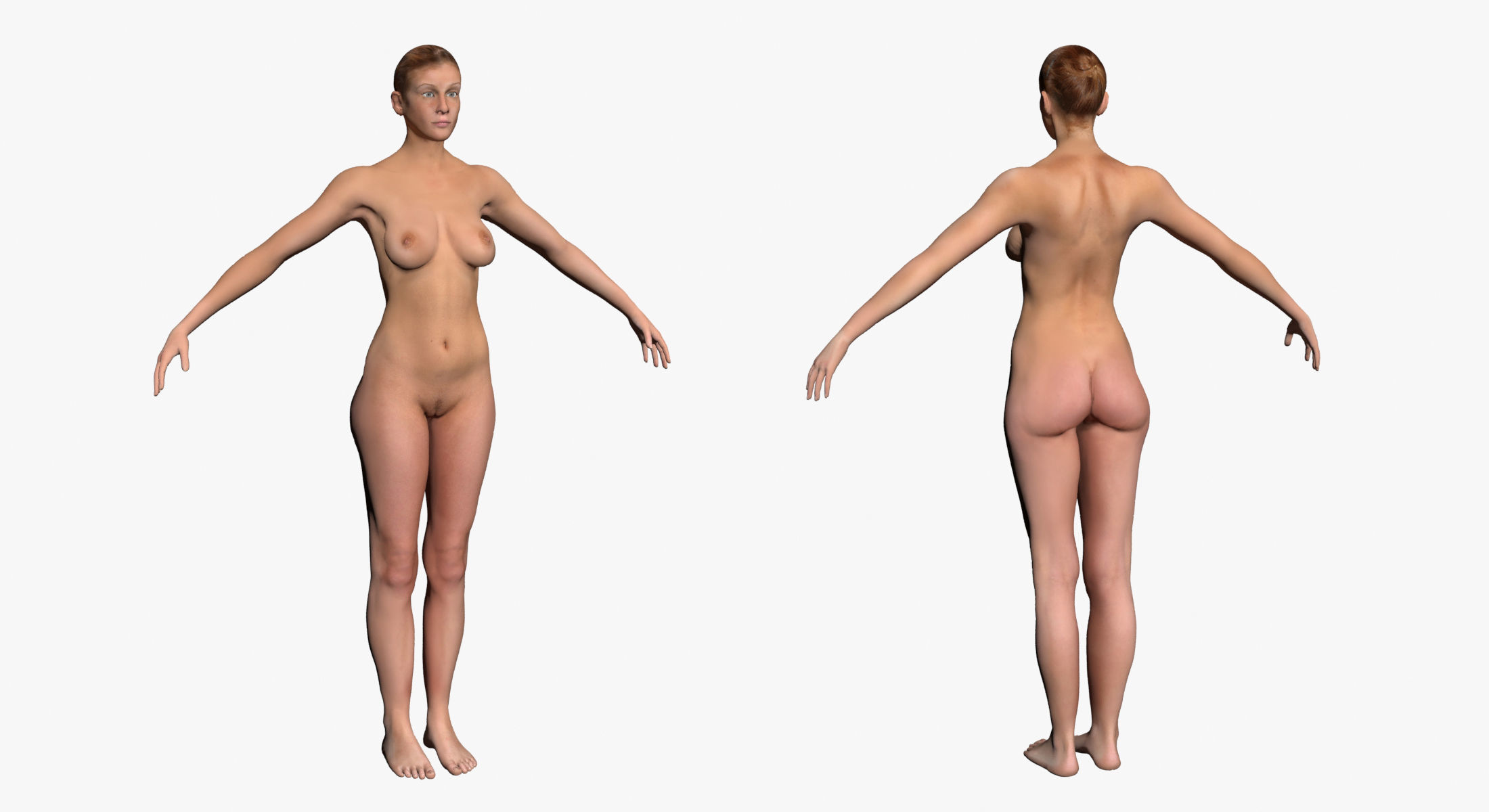 Ultimate Complete Female Body Anatomy 3DSmax 3D model_15