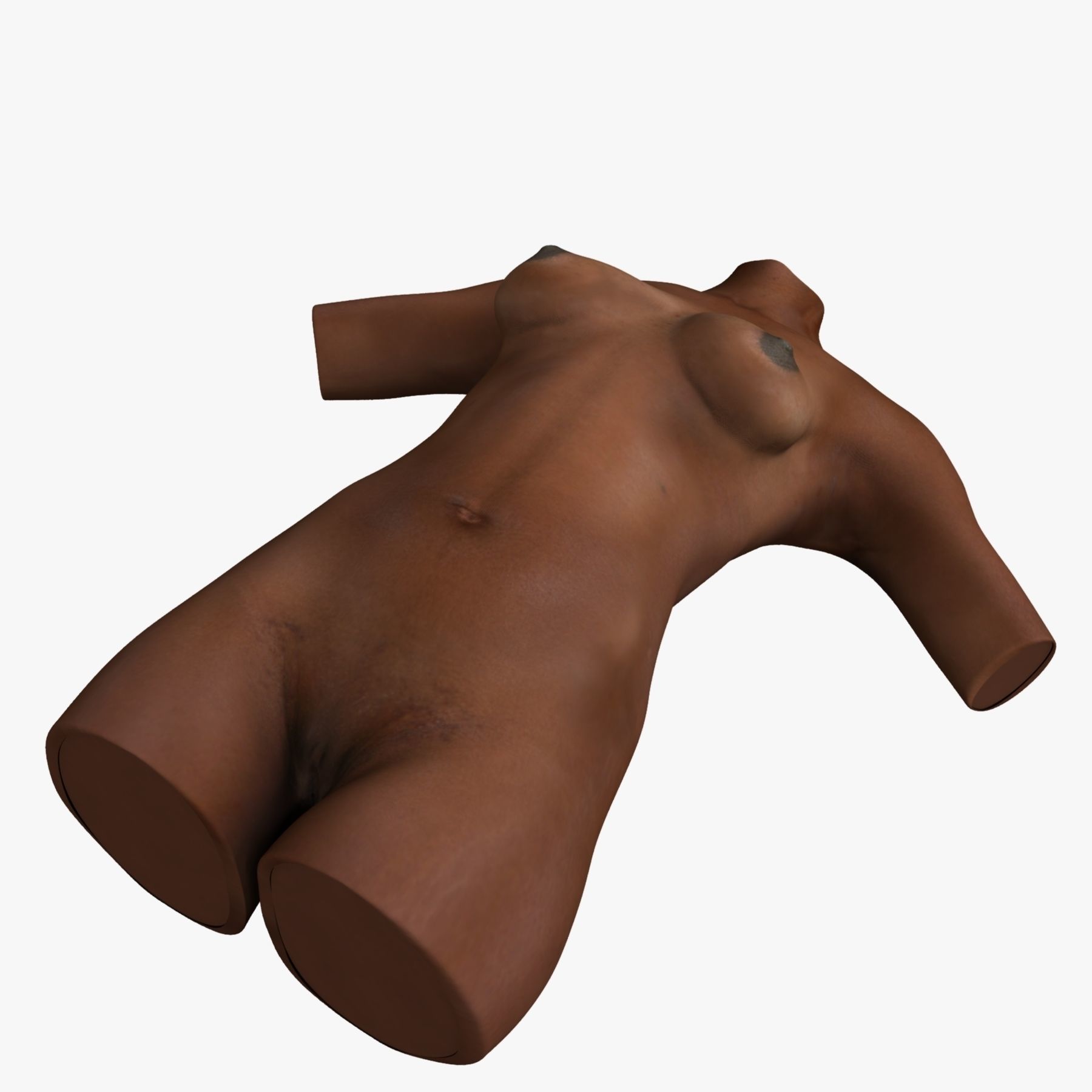 Detailed African American Female Torso Medical Edition 3D model_11