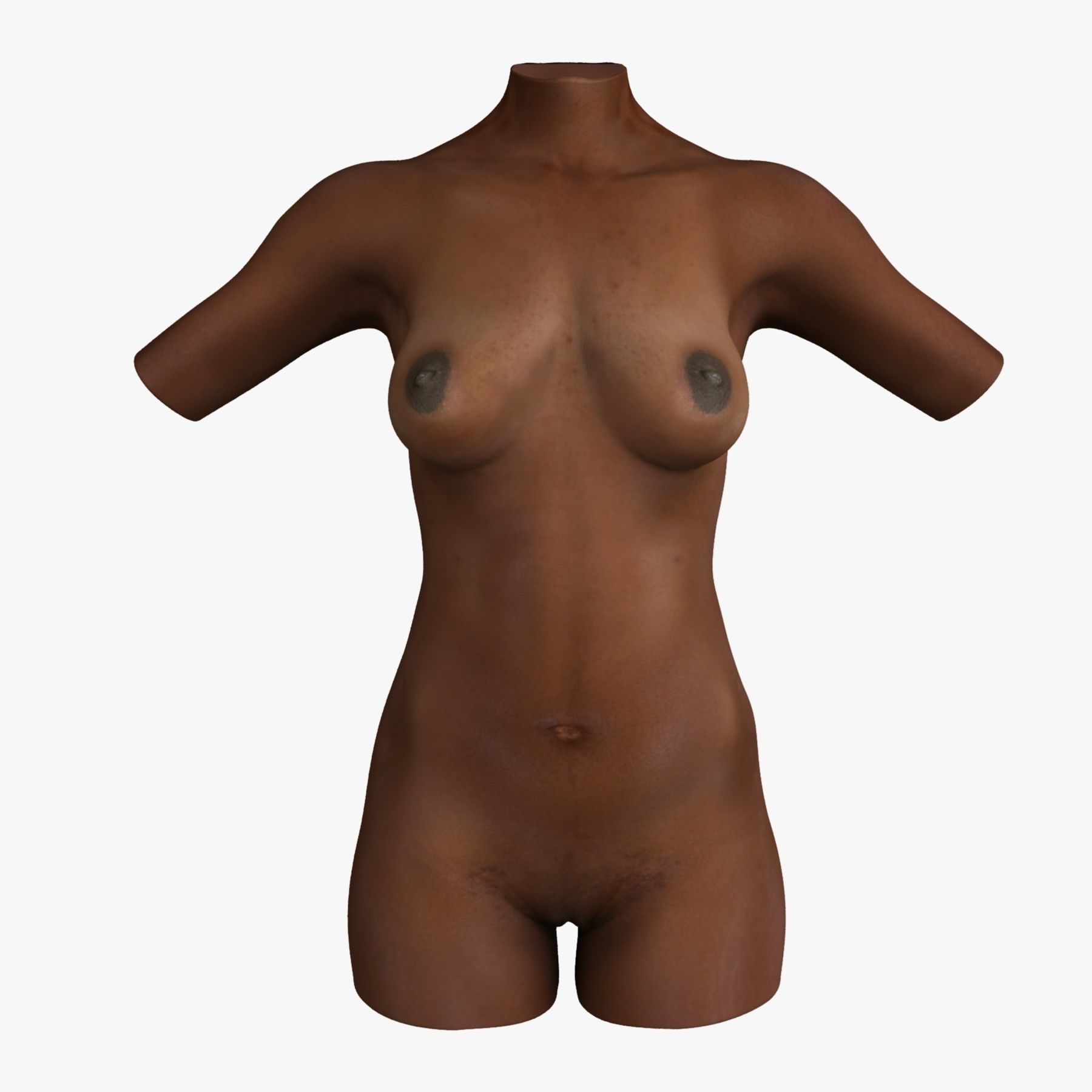 Detailed African American Female Torso Medical Edition 3D model_9