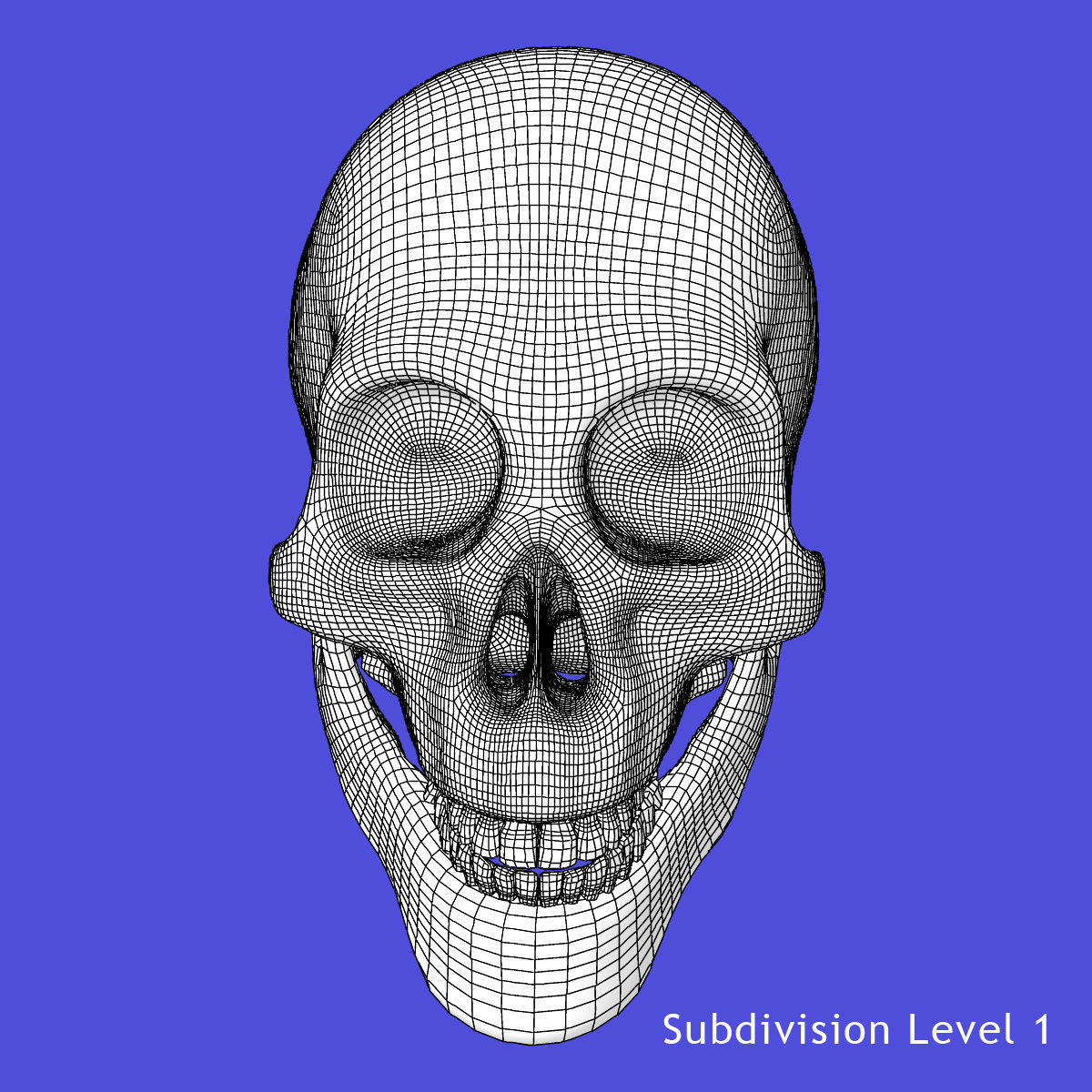 Human Skull 3D model_14