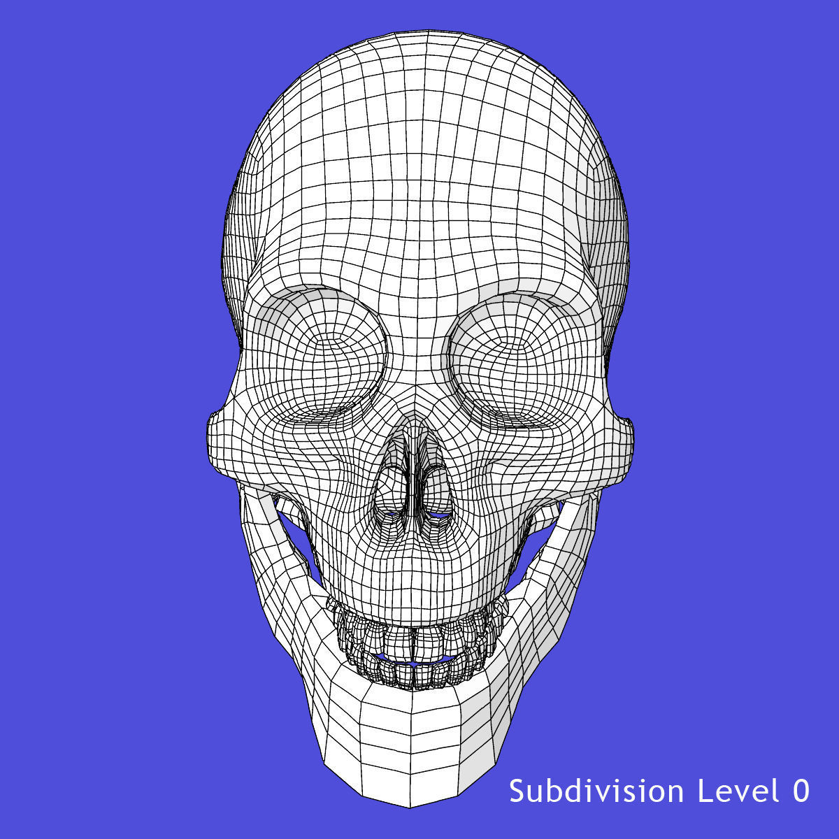Human Skull 3D model_10