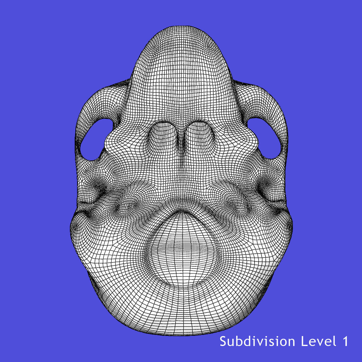 Human Skull 3D model_15