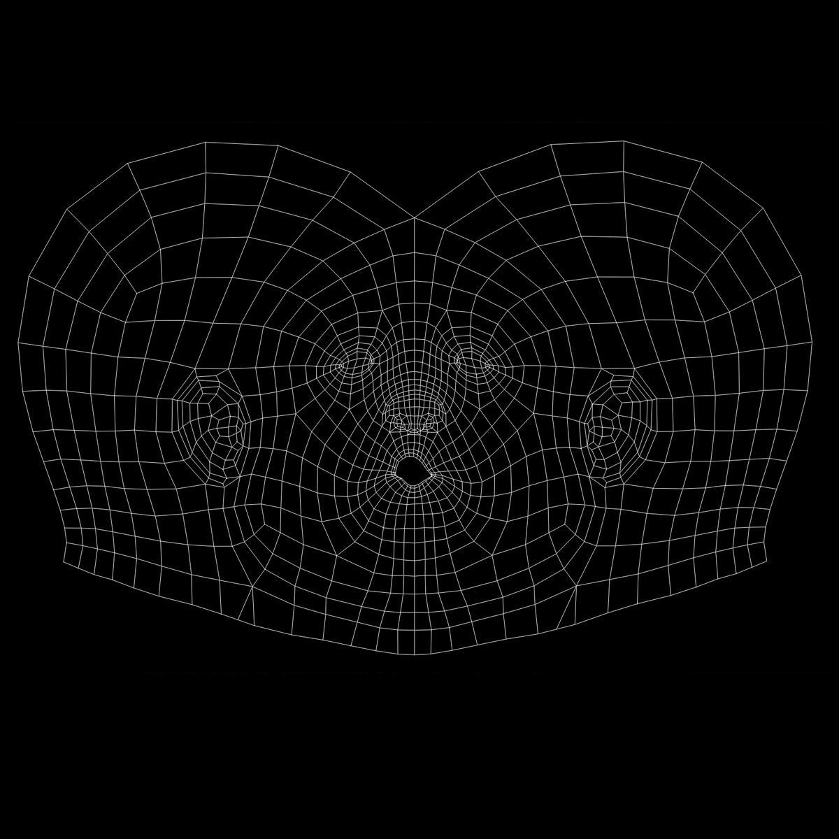 Human Skull 3D model_6