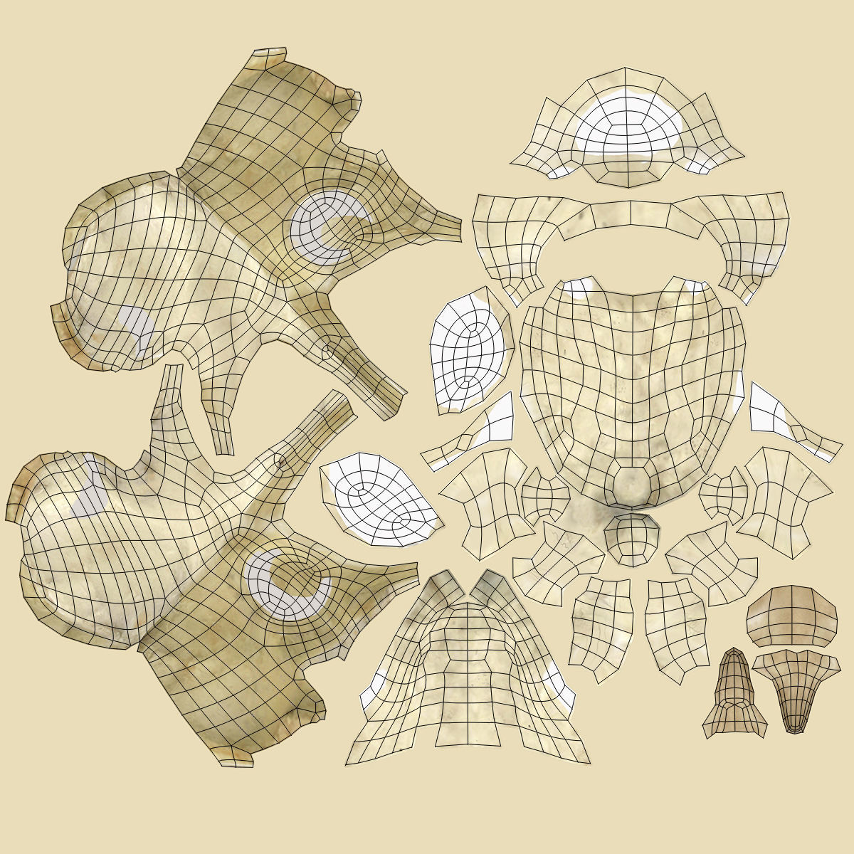 Human Spine Bones 3D model_10