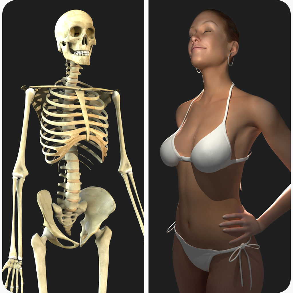 Full Female Body With Skeleton 3D model_1