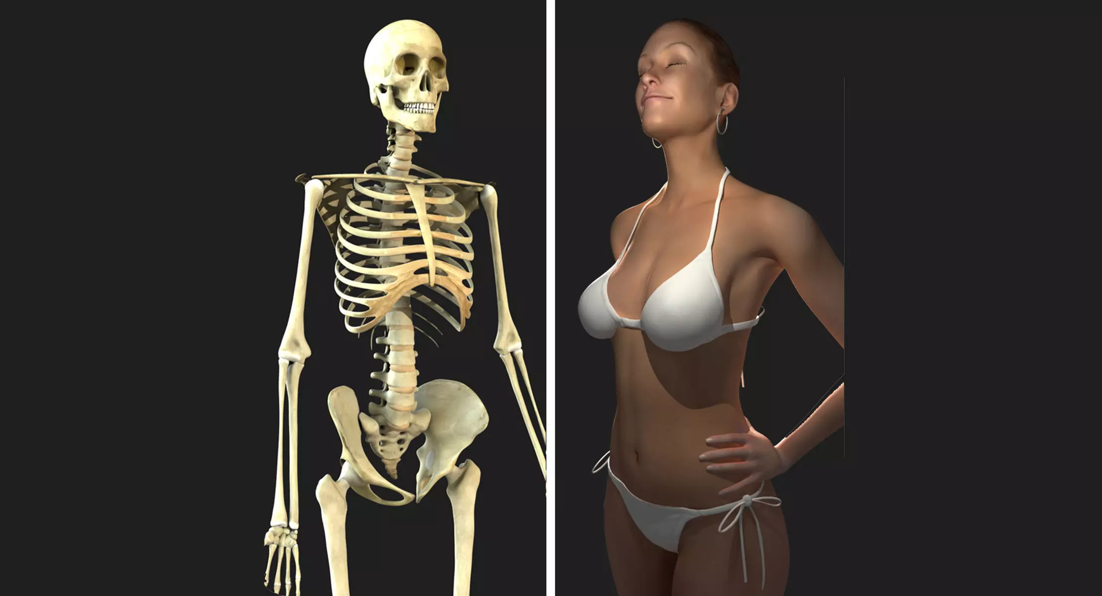 Full Female Body With Skeleton 3D model_0