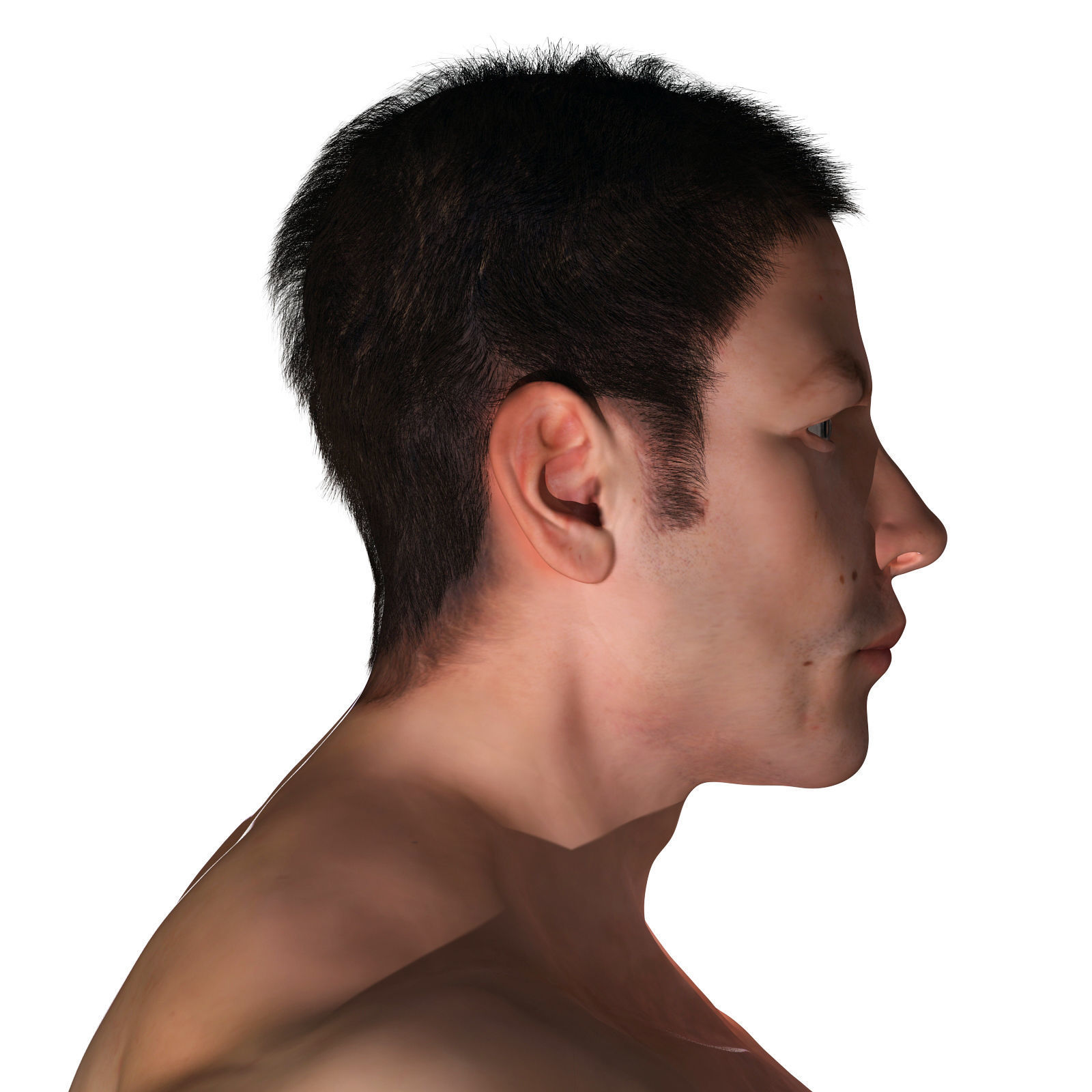 White and African American Male Full Body Collection 3D model_12