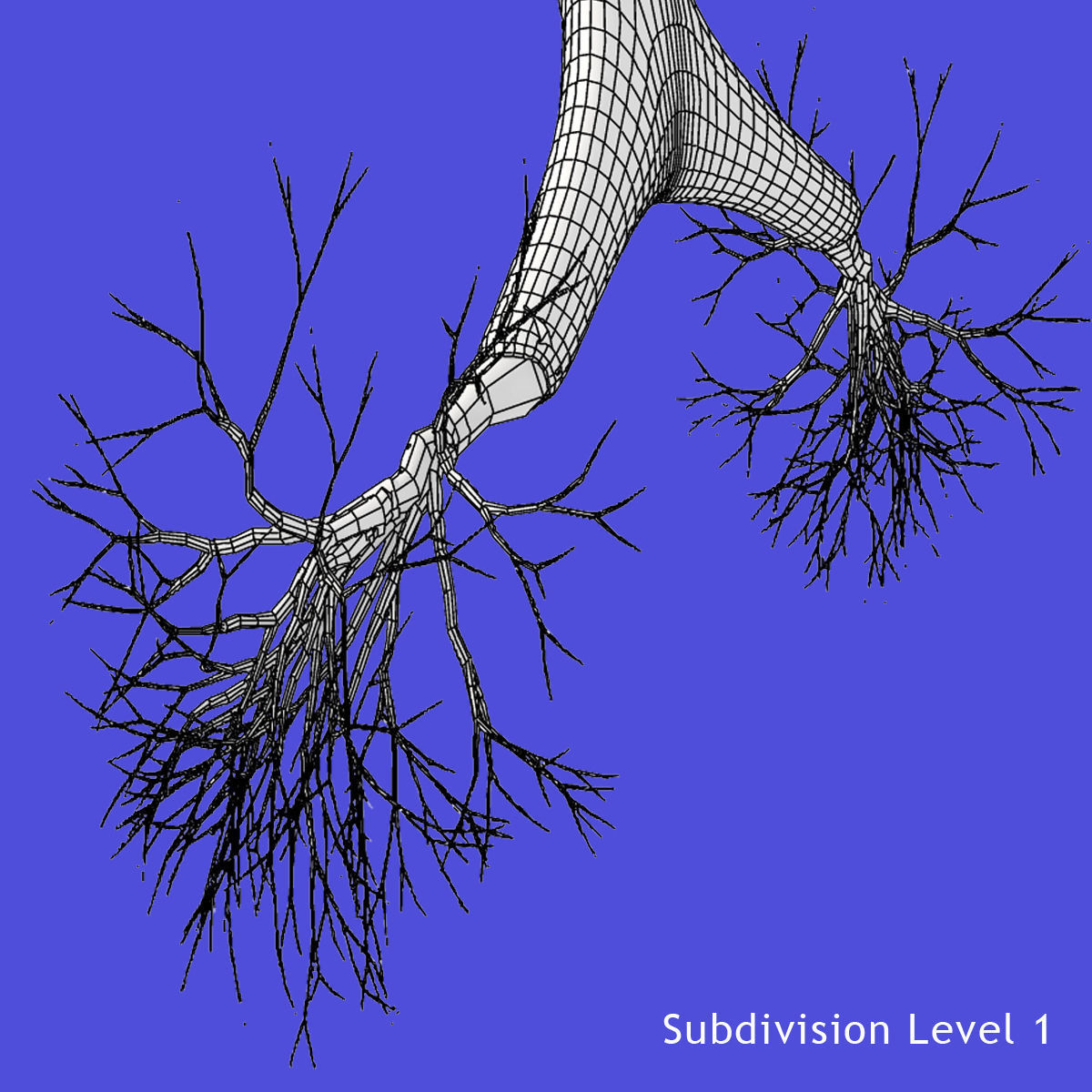Rigged Lungs 3D model_5