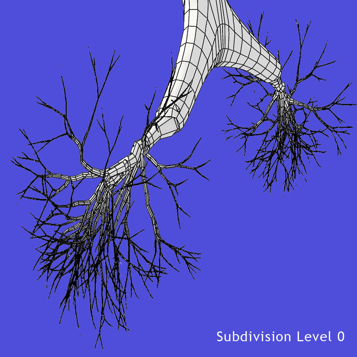 Rigged Lungs 3D model_9