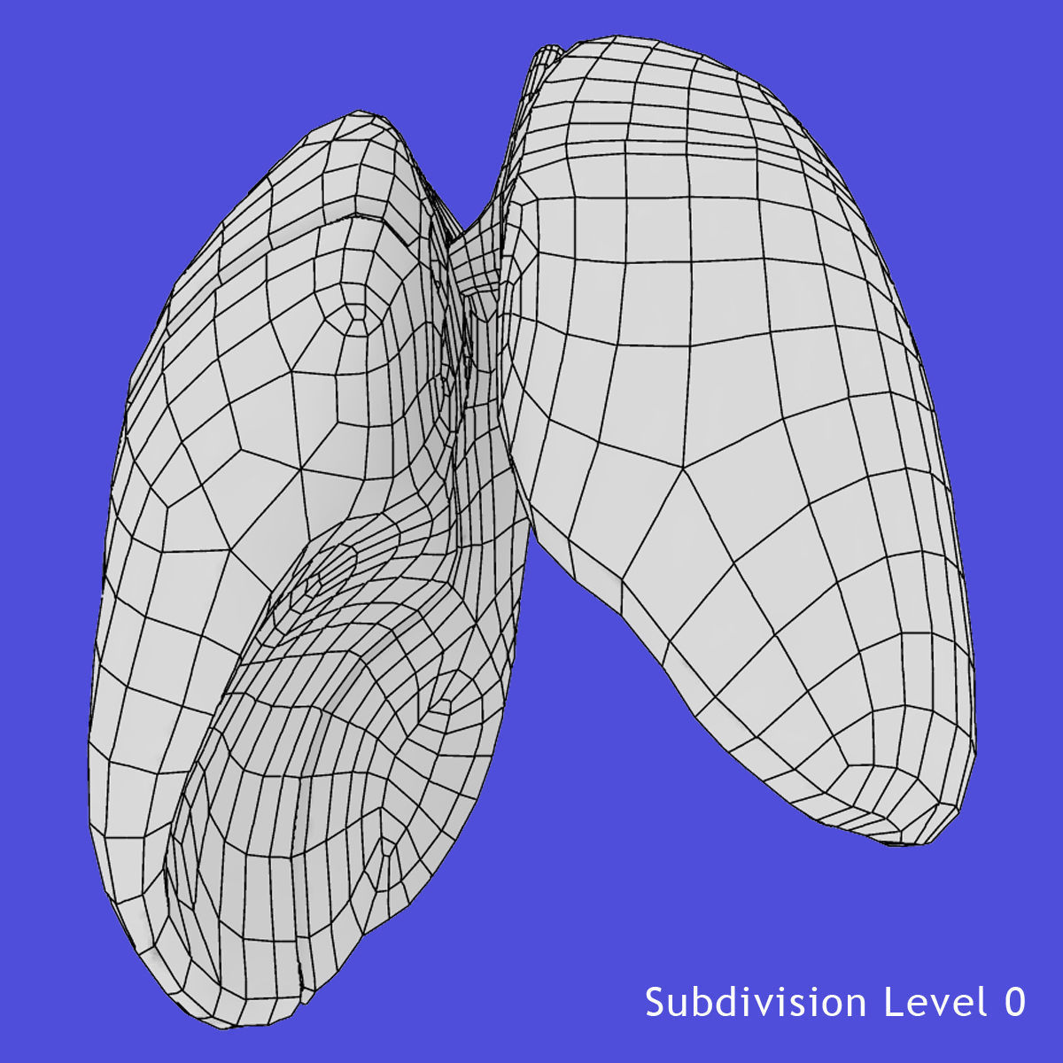 Rigged Lungs 3D model_11