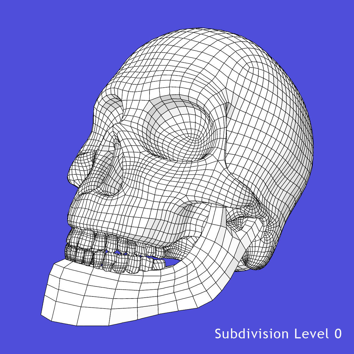 Human Skeleton With Digestive and Respiratory Systems 3D model_24