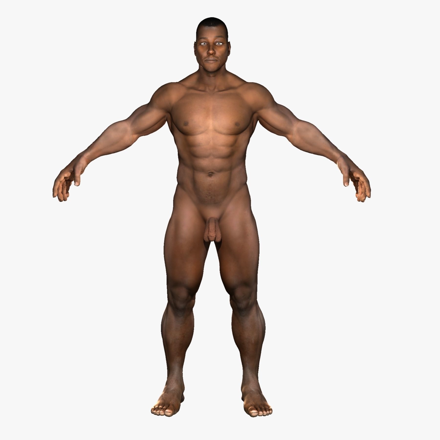 Ultimate Full Body Anatomy Collection 3D model_61