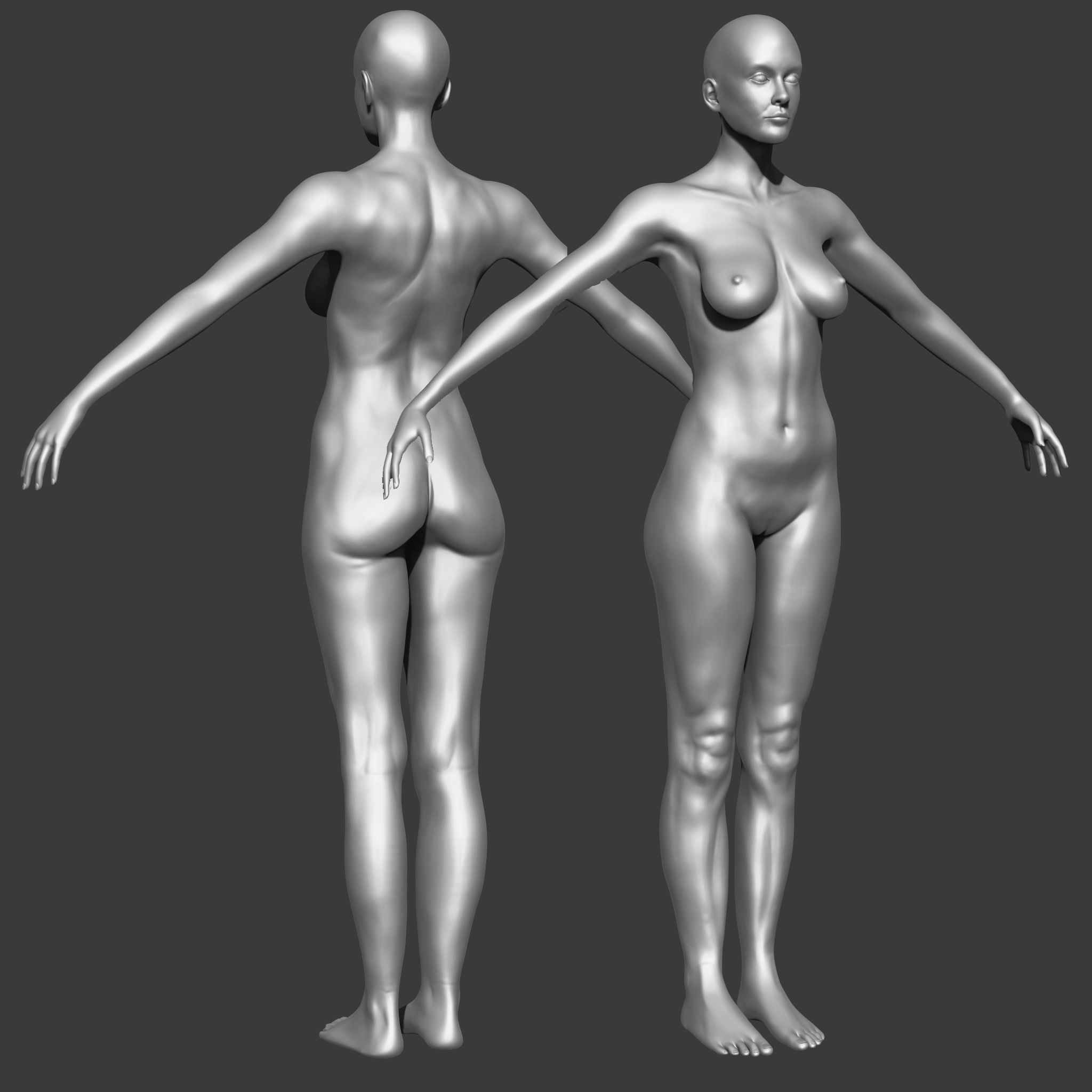 Ultimate Full Body Anatomy Collection 3D model_78