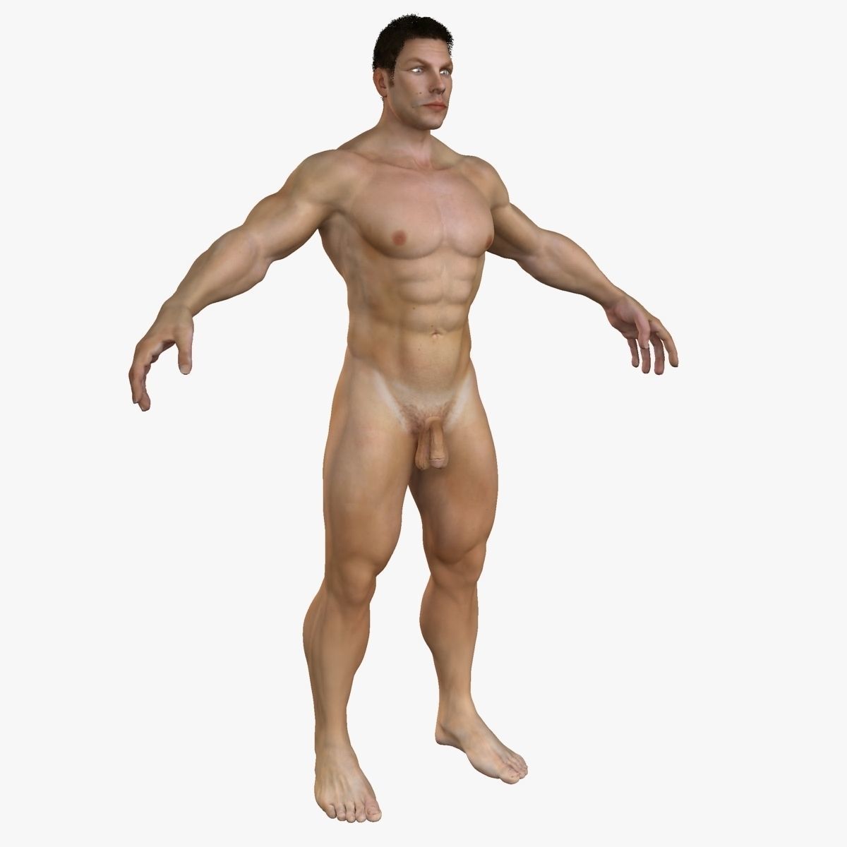 Ultimate Full Body Anatomy Collection 3D model_64