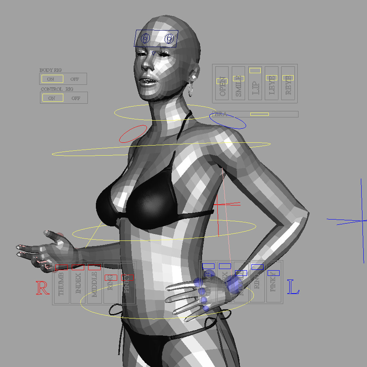 Humand Body Collection Rigged 3D model_29