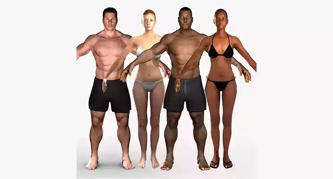 Humand Body Collection Rigged