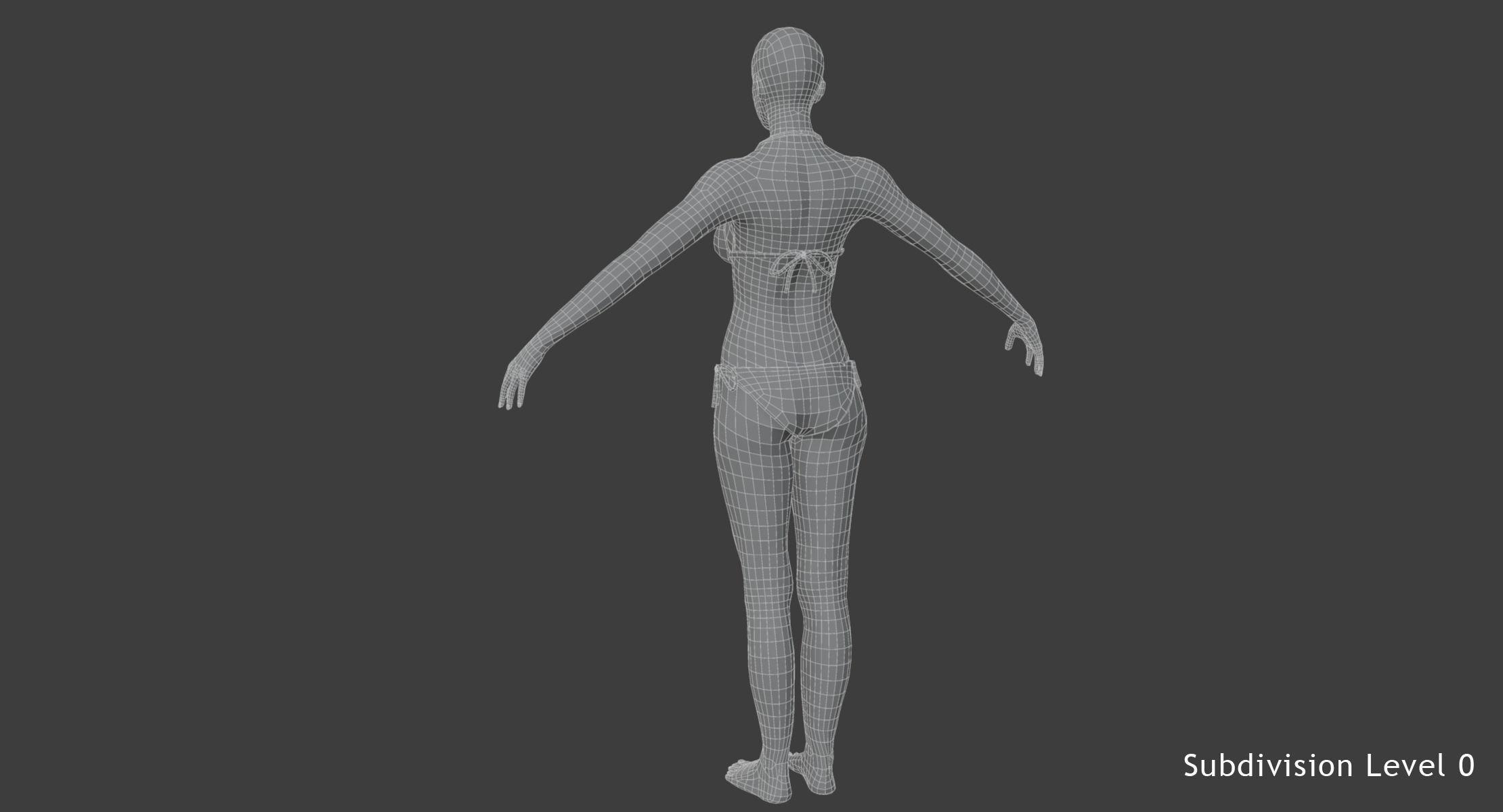Humand Body Collection Rigged 3D model_36