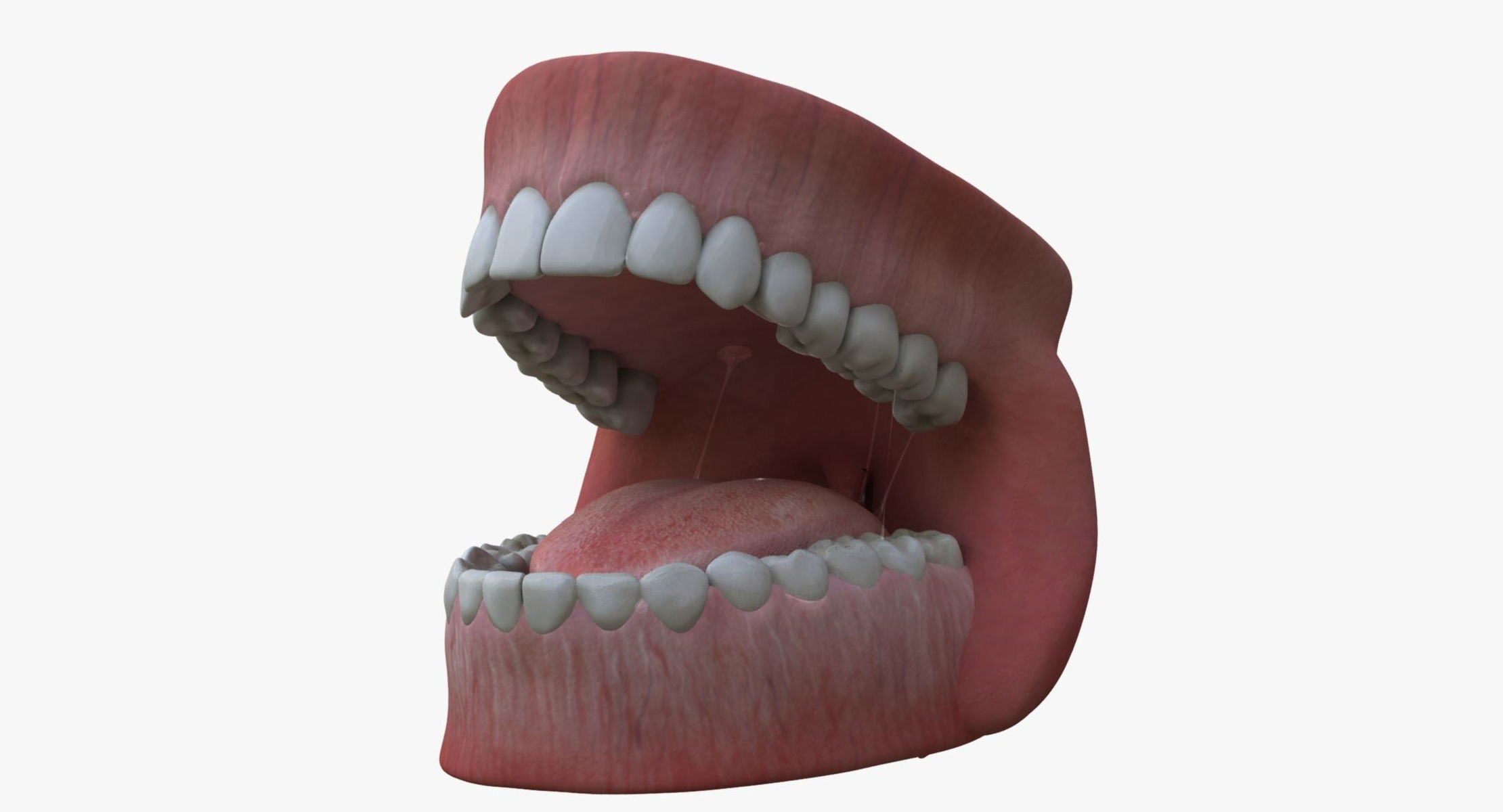 Humand Body Collection Rigged 3D model_30