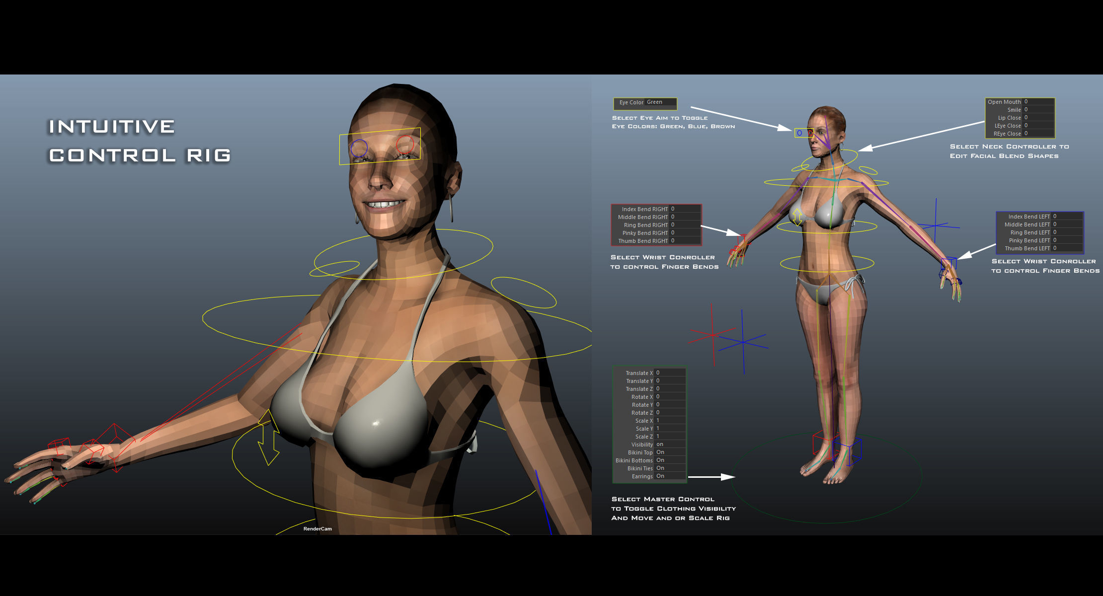 Full Female Body X-Ray With Skeleton 3D model_7