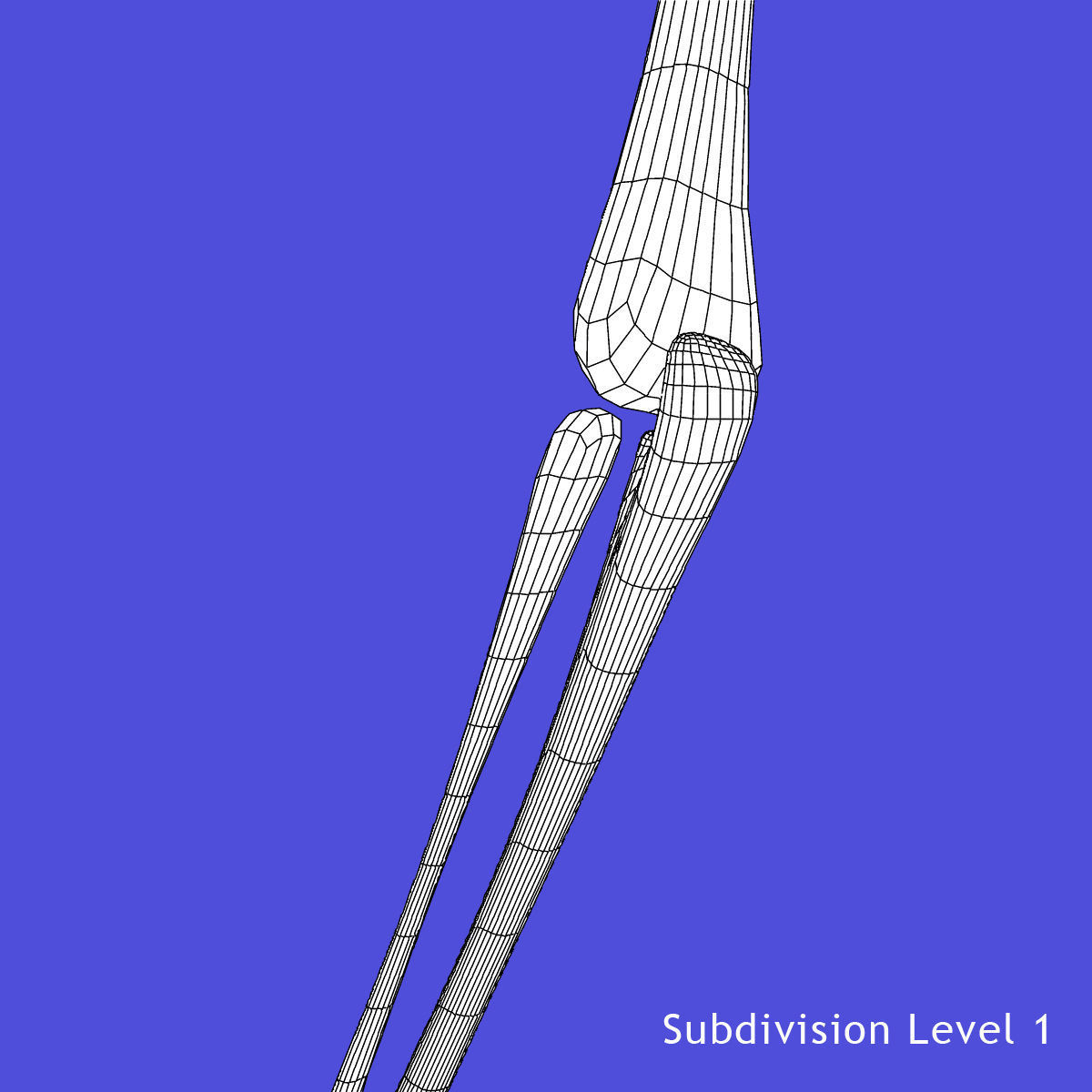 Full Female Body X-Ray With Skeleton 3D model_33