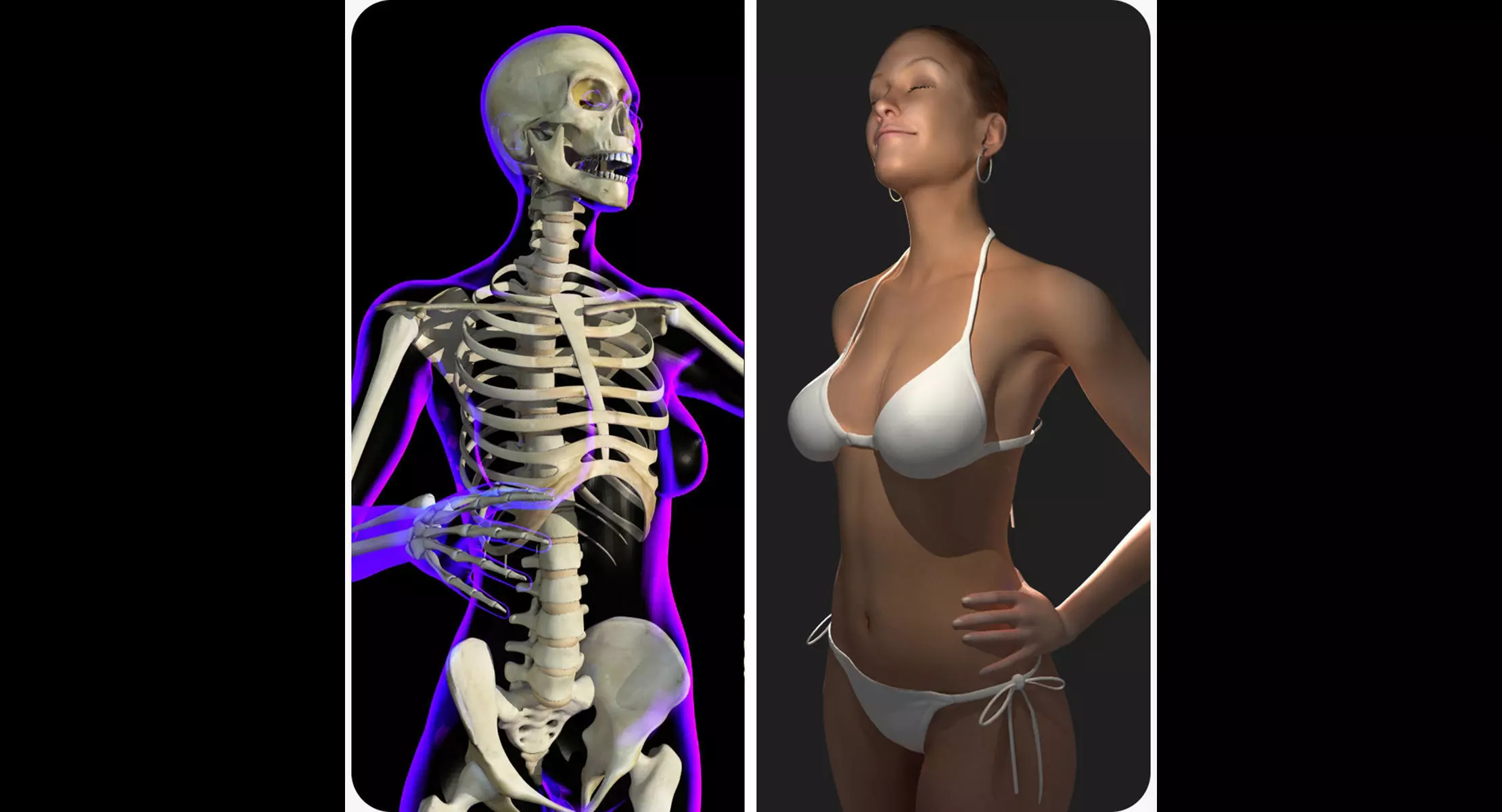Full Female Body X-Ray With Skeleton 3D model_0