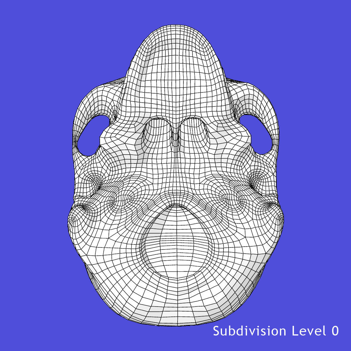 Full Female Body X-Ray With Skeleton 3D model_41