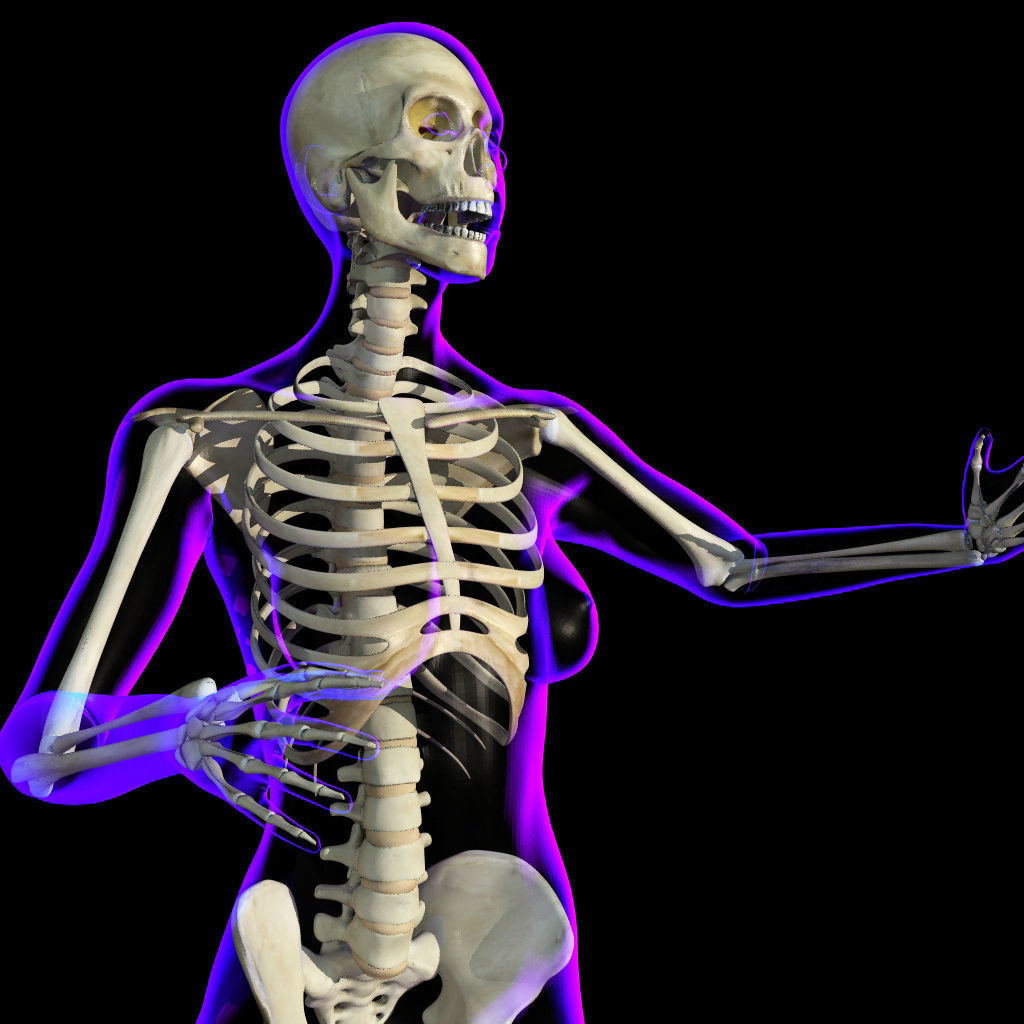 Full Female Body X-Ray With Skeleton 3D model_3