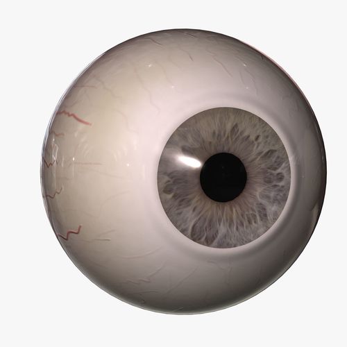 Rigged Eyes 3D model