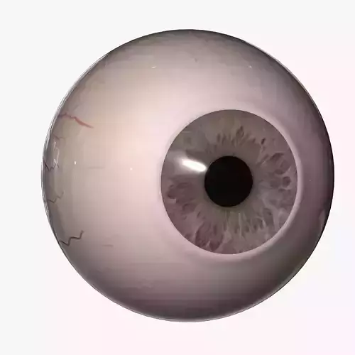 Rigged Eyes 3D model
