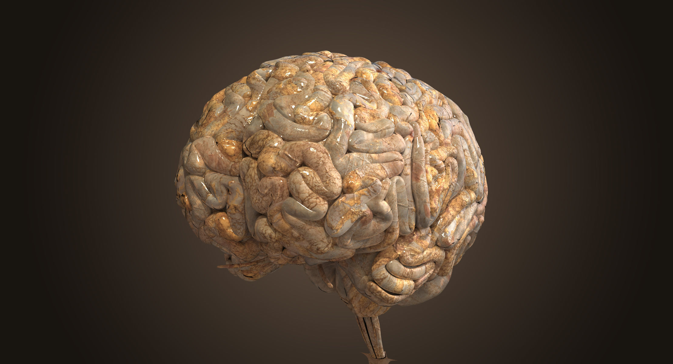 Realistic Human Brain 3D model_1