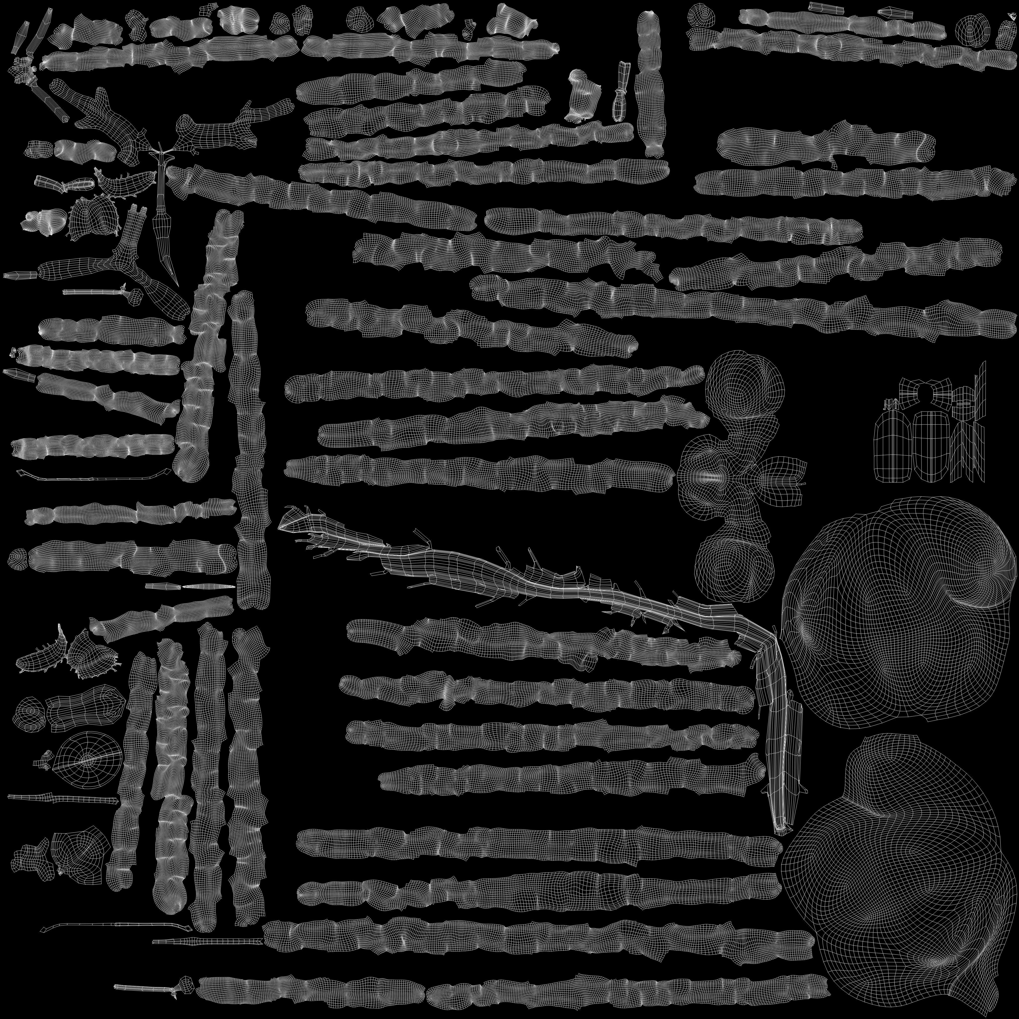 Realistic Human Brain 3D model_17