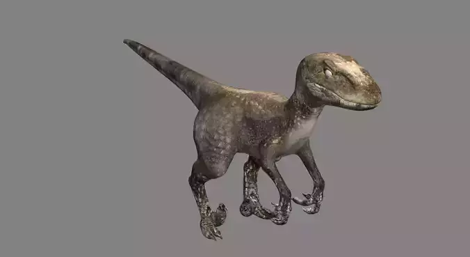 Raptor dinosaur 3D model