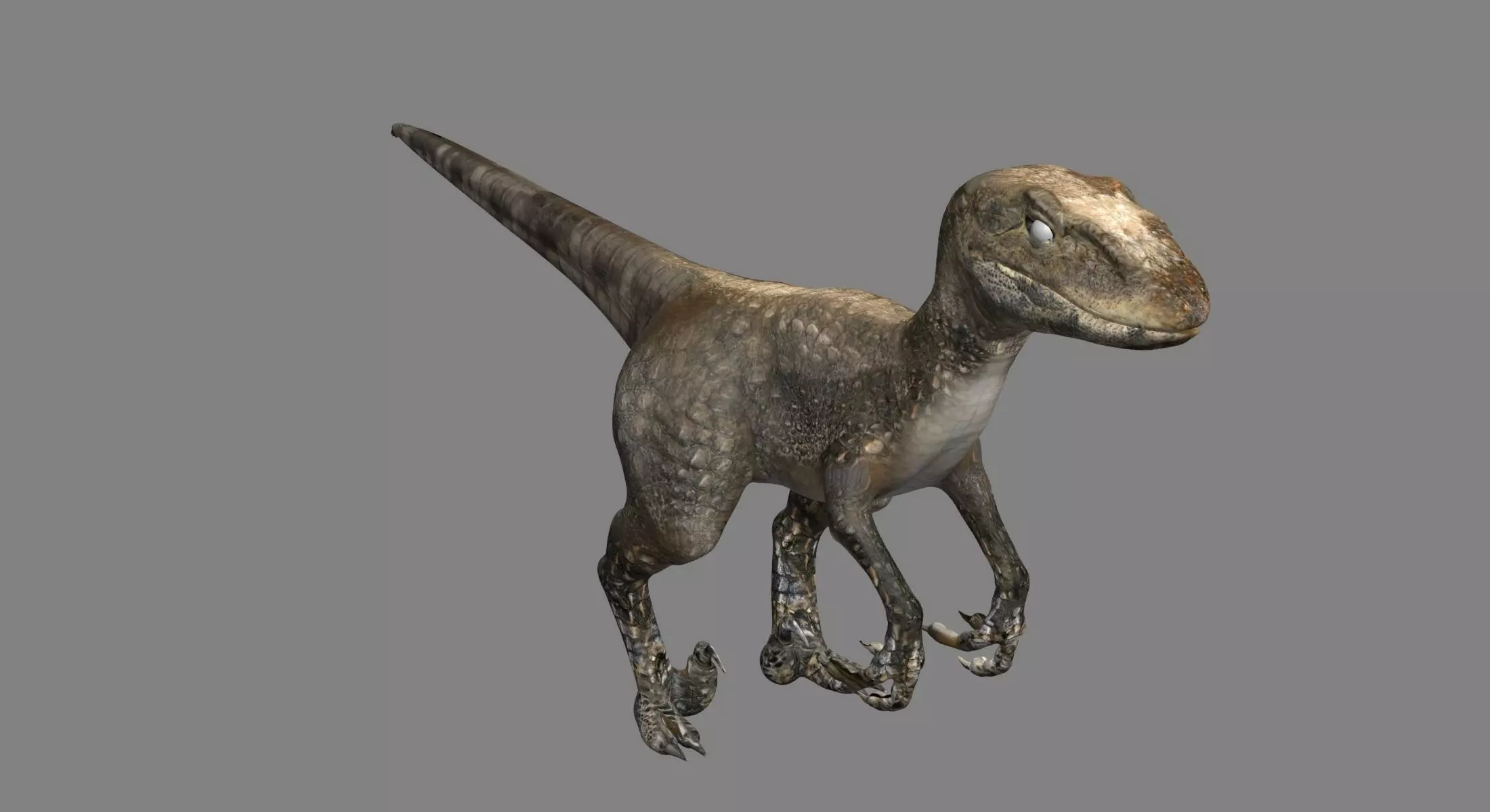 Raptor dinosaur 3D model_0