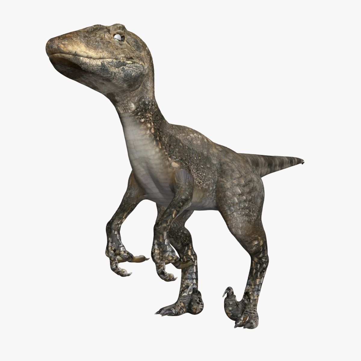 Raptor dinosaur 3D model_1