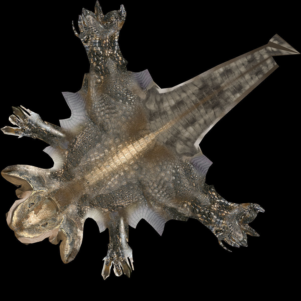 Raptor dinosaur 3D model_12