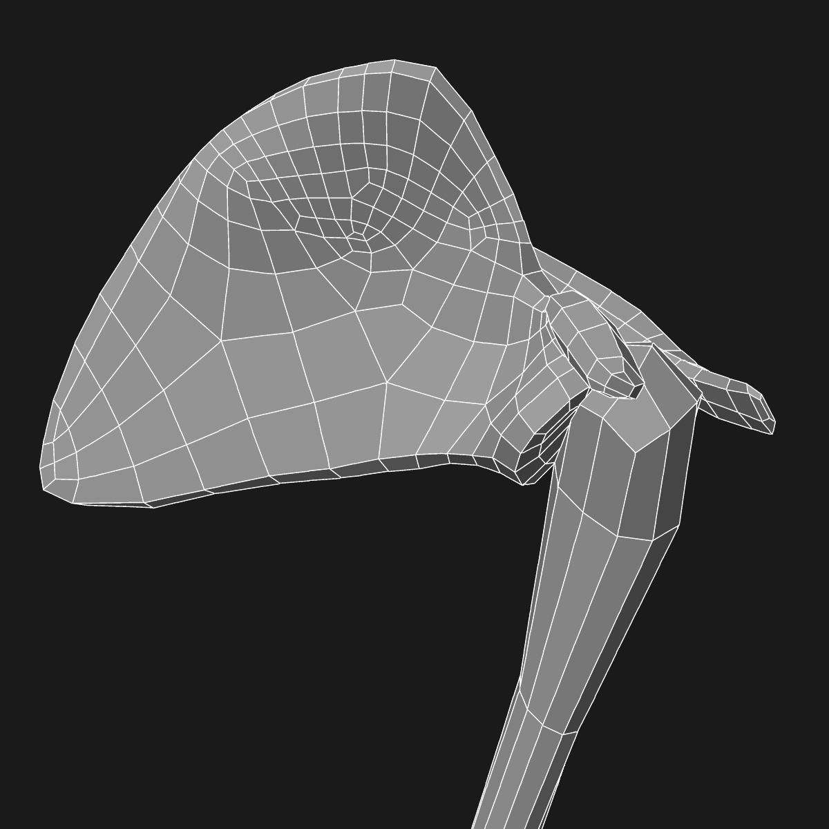 Arm Muscle Anatomy Medical Edition 3D model_19