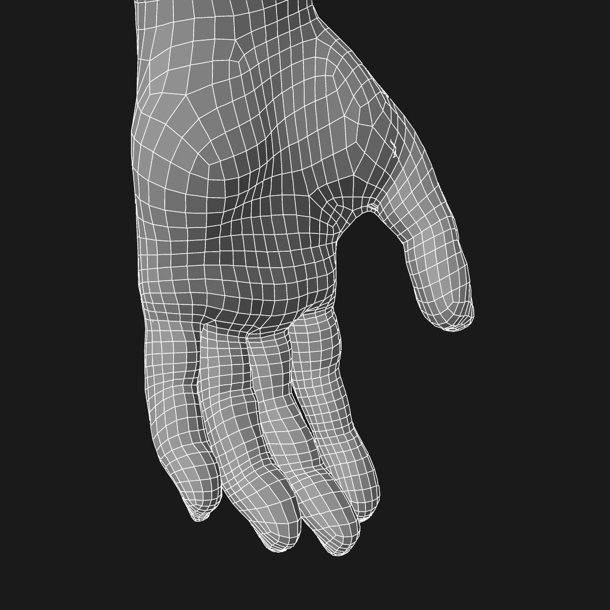 Arm Muscle Anatomy Medical Edition 3D model_20