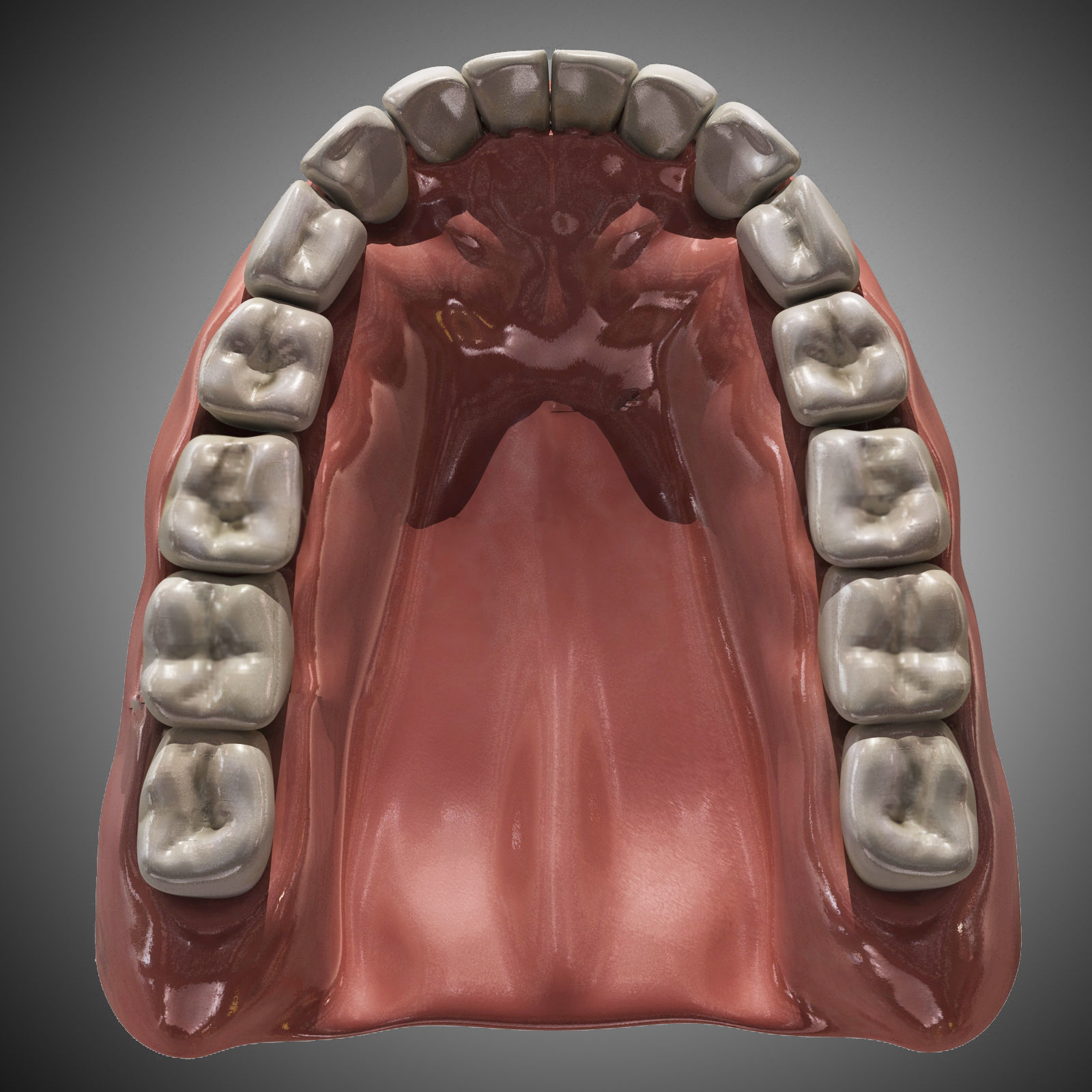 Human Mouth With Teeth Rigged 3D model_7