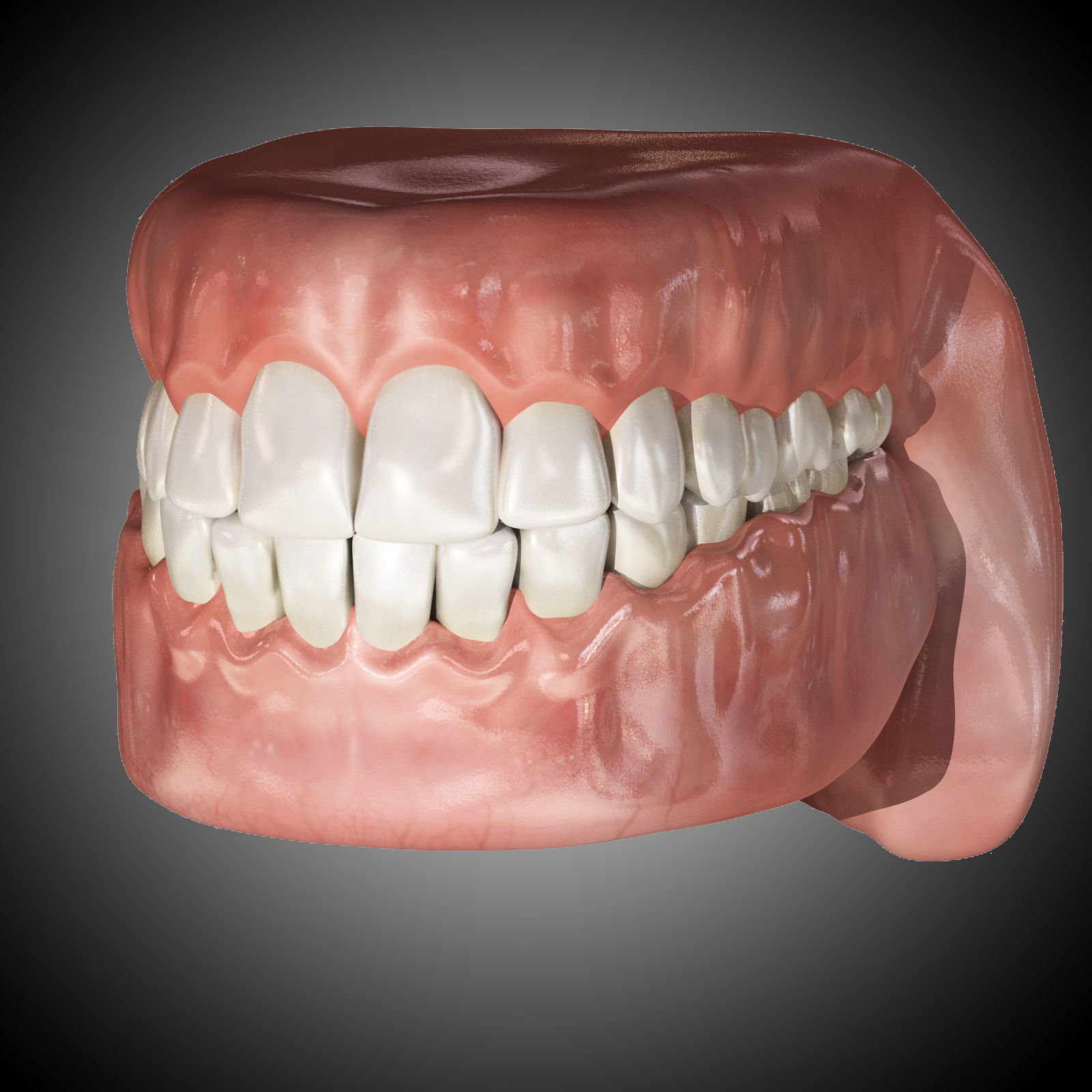 Human Mouth With Teeth Rigged 3D model_3