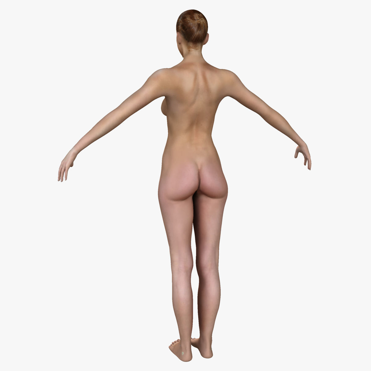 Male and Female Complete Muscle Anatomy 3D model_53