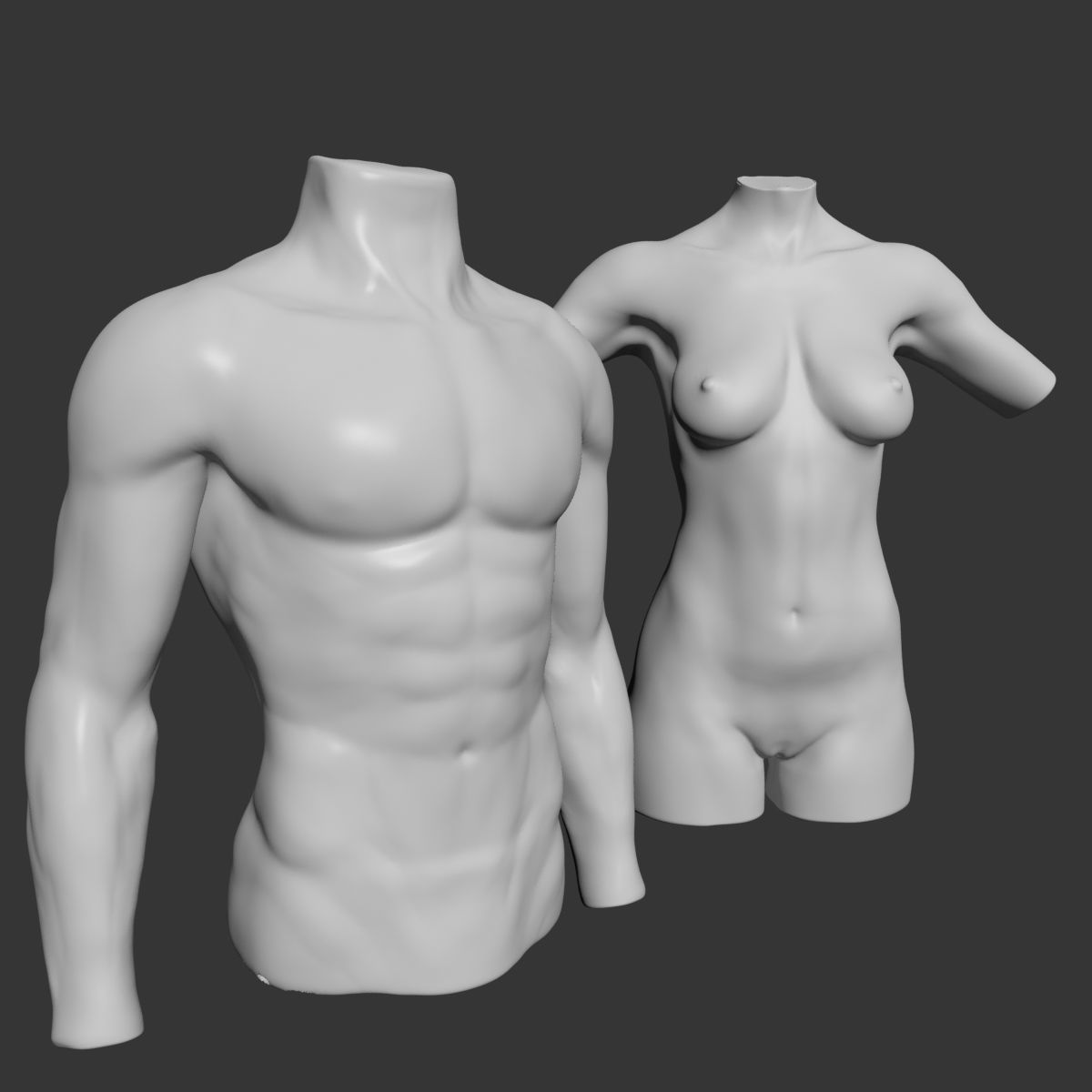 Female and Male Torso Manenequins 3D model_1